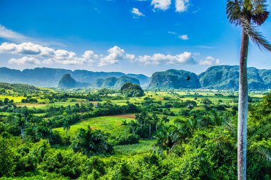 Vinales, Küba - 10 Temmuz 2018: Viales Vadisi manzarası. Tropikal ve neredeyse bir yağmur ormanı. Aynı isimde bir milli parkın içinde..