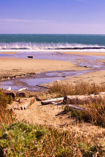 Point Reyes Stati Uniti Febbraio 2012 Onde Infrangono Sulla Spiaggia — Foto Stock