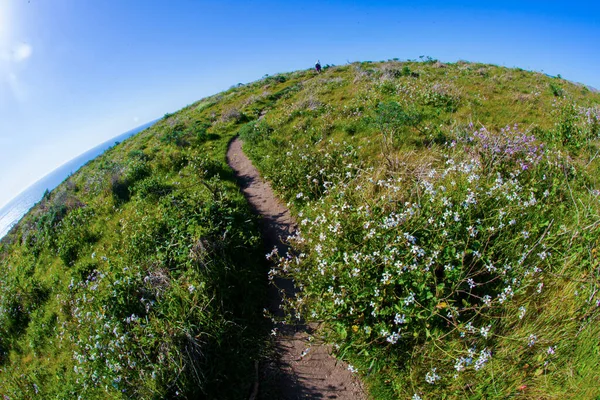 Point Reyes United States March 2012 Helt Speciell Plats Där — Stockfoto