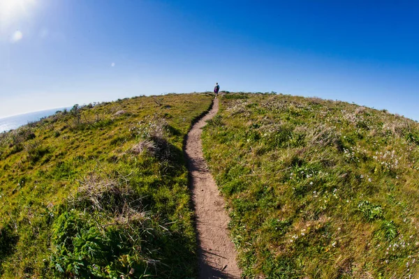 Point Reyes United States March 2012 Truely Special Place San — Stock Photo, Image