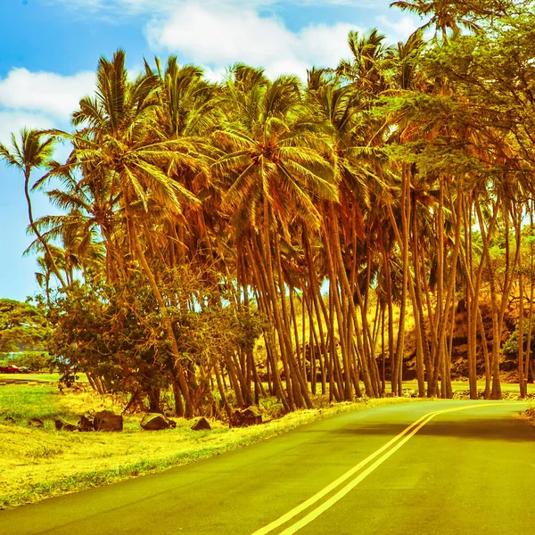Hawái Estados Unidos Septiembre 2012 Camino Alrededor Gran Isla Hawái — Foto de Stock