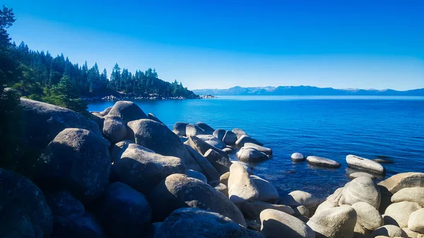 Tahoe Gölü Abd Eylül 2015 Çam Ağaçları Kışın Karla Kaplı — Stok fotoğraf