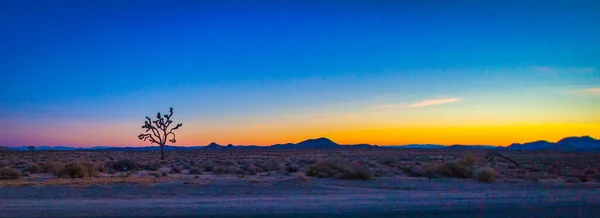 Las Vegas Estados Unidos Febrero 2013 Desierto Seco Lado Carretera —  Fotos de Stock