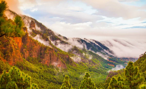 La Palma, İspanya - 12 Aralık 2013: Volkanik ada genel olarak yeşil bir hisse sahiptir ve doğanın büyük bir kısmına sahiptir. Sis dağların etrafında sürükleniyor.