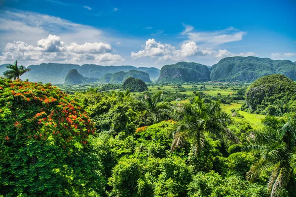 Viales Cuba Julho 2018 Vista Vale Viales Tropical Quase Uma — Fotografia de Stock