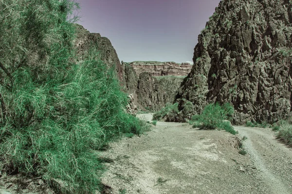 Almaty Kazachstan Juin 2017 Dans Très Aride Canyon Charyn Voit — Photo