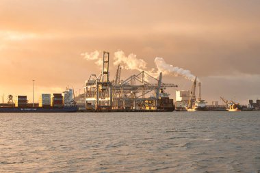 Rotterdam, Hollanda - 22 Kasım 2021: Limandaki gemilerin konteynırlarını boşaltmak için devasa yarıdan ve tamamen otomatik vinçlerden oluşan hatlar