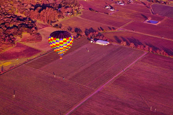 Νάπα Ηνωμένες Πολιτείες Φεβρουαρίου 2013 Μια Βόλτα Αερόστατο Πάνω Από — Φωτογραφία Αρχείου