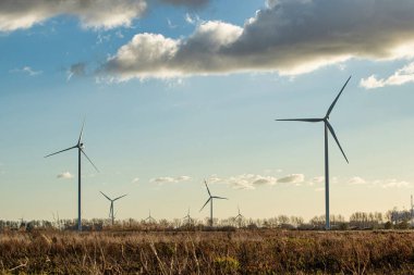 Rotterdam, Hollanda - 22 Kasım 2021: Hollanda kırsalında rüzgar türbini veya rüzgar değirmenleriyle dolu bir alan