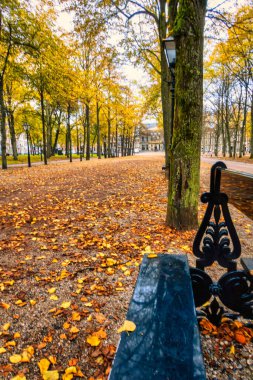 Lahey, Hollanda - 22 Ekim 2020: 