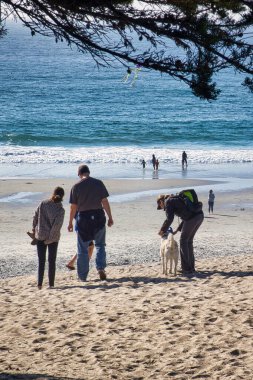 Carmel, ABD - 18 Şubat 2020: Bir grup insan Carmel sahilinde yürüyor ve panoramanın tadını çıkarıyorlar.