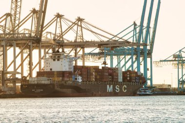 Rotterdam, Hollanda - 22 Kasım 2021: Limandaki gemilerin konteynırlarını boşaltmak için devasa yarıdan ve tamamen otomatik vinçlerden oluşan hatlar