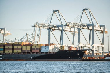 Rotterdam, Hollanda - 22 Kasım 2021: Güverte gemisindeki konteynırları boşaltmak için devasa yarıdan ve tamamen otomatik vinçlerden oluşan hatlar