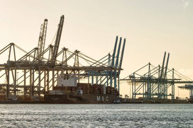 Rotterdam, Hollanda - 22 Kasım 2021: Limandaki gemilerin konteynırlarını boşaltmak için devasa yarıdan ve tamamen otomatik vinçlerden oluşan hatlar