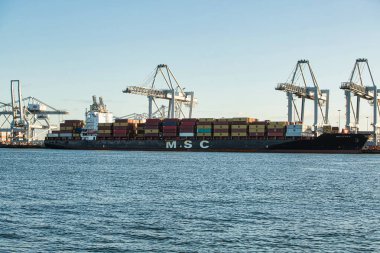 Rotterdam, Hollanda - 22 Kasım 2021: Limandaki gemilerin konteynırlarını boşaltmak için devasa yarıdan ve tamamen otomatik vinçlerden oluşan hatlar