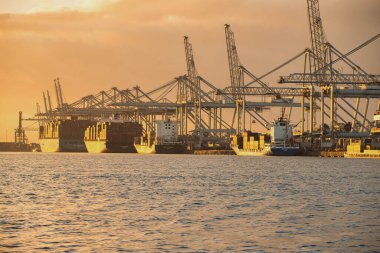 Rotterdam, Hollanda - 22 Kasım 2021: deniz konteynırları gün batımında büyük vinçlerle naklediliyor