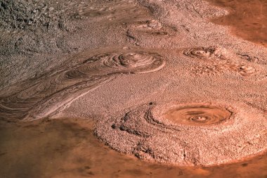 Yeni Zelanda, Rotorua - 28 Eylül 2009: Rotorua çevresindeki volkanik faaliyetler nedeniyle jeotermal sıcak çamur banyosu