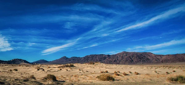 Las Vegas Usa Februar 2013 Die Trockene Wüstenlandschaft Straßenrand Tagsüber — Stockfoto