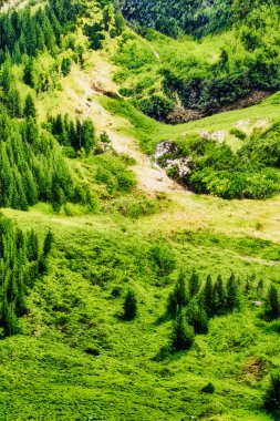 La Clusaz, Fransa - 20 Ağustos 2020: Fransız Alpleri 'ndeki dik bir dağ yamacında bir dağlık alan manzarası