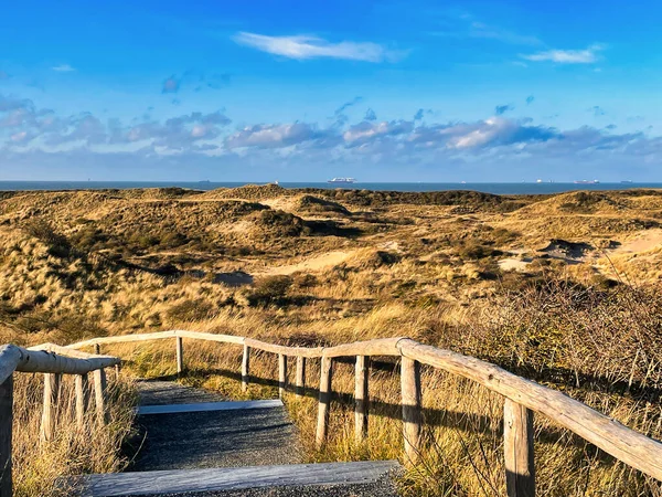 Aia Paesi Bassi Dicembre 2021 Meijendel Dune Costiere Olandesi Con — Foto Stock