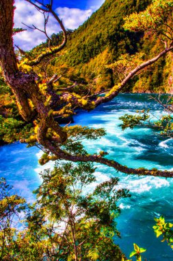 Puerto Varas, Şili - 10 Kasım 2014: Şili 'nin güneyindeki dağlara dökülen sular, çağlayan kayalar ve çağlayan nehirler veya dereler