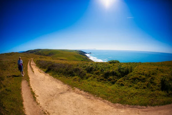 Point Reyes Stati Uniti Marzo 2012 Questo Terreno Collinare Erboso — Foto Stock