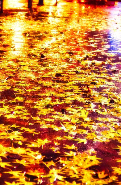 カナダのバンクーバー 2009年10月30日 カエデの葉は夜にぬれた歩道に横たわっており 光を反映しています — ストック写真