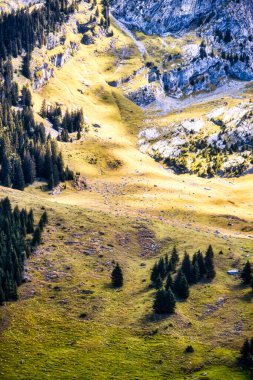 La Clusaz, Fransa - 20 Ağustos 2020: Fransız Alpleri 'ndeki dik bir dağ yamacında bir dağlık alan manzarası