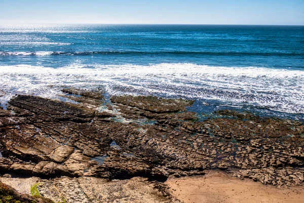 Pismo Beach Stati Uniti Febbraio 2020 Ecosistema Dell Oceano Pacifico — Foto Stock