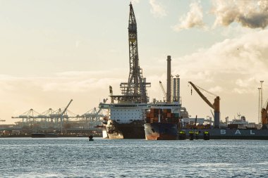 Rotterdam, Hollanda - 22 Kasım 2021: Limandaki gemilerin konteynırlarını boşaltmak için devasa yarıdan ve tamamen otomatik vinçlerden oluşan hatlar