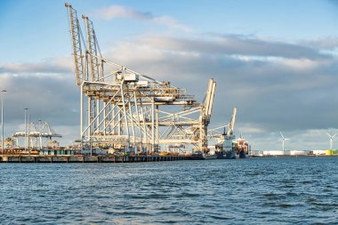 Rotterdam, Hollanda - 22 Kasım 2021: Limandaki gemilerin konteynırlarını boşaltmak için devasa yarıdan ve tamamen otomatik vinçlerden oluşan hatlar