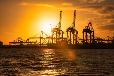 Rotterdam, Hollanda - 22 Kasım 2021: Limandaki gemilerin konteynırlarını boşaltmak için devasa yarıdan ve tamamen otomatik vinçlerden oluşan hatlar