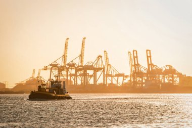 Rotterdam, Hollanda - 22 Kasım 2021: Limandaki gemilerin konteynırlarını boşaltmak için devasa yarı otomatik vinçler ve bir römorkör hattı