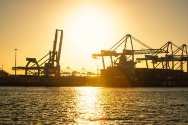 Rotterdam, Hollanda - 22 Kasım 2021: Limandaki gemilerin konteynırlarını boşaltmak için devasa yarıdan ve tamamen otomatik vinçlerden oluşan hatlar