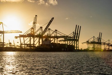 Rotterdam, Hollanda - 22 Kasım 2021: Güverte gemisindeki konteynırları boşaltmak için devasa yarıdan ve tamamen otomatik vinçlerden oluşan hatlar