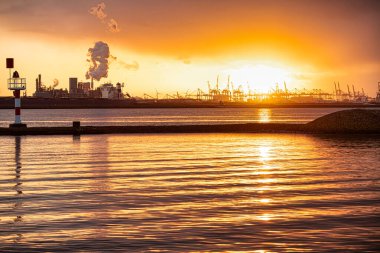 Rotterdam, Hollanda - 22 Kasım 2021: Limandaki gemilerin konteynırlarını boşaltmak için devasa yarıdan ve tamamen otomatik vinçlerden oluşan hatlar