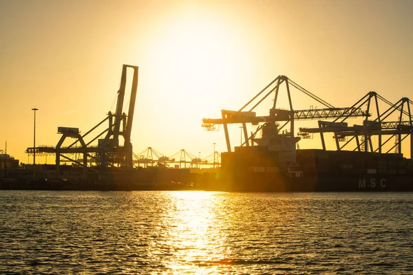 Rotterdam, Hollanda - 22 Kasım 2021: Limandaki gemilerin konteynırlarını boşaltmak için devasa yarıdan ve tamamen otomatik vinçlerden oluşan hatlar