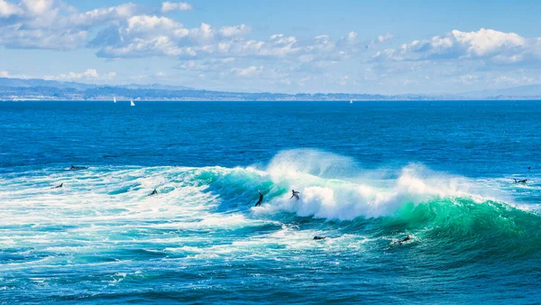 Santa Cruz Estados Unidos Janeiro 2013 Surf Capitol Mais Corajosos — Fotografia de Stock