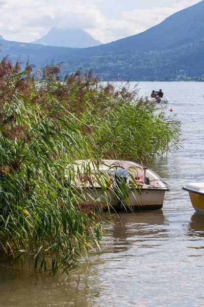 Sevrier, Fransa - 20 Ağustos 2008: Ek bina gölünde yüzen tekne, sazlıkta yatıyor
