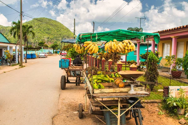stock image Viales, Cuba - July 10 2018 : For foreigners there is enough food as here for sale at this cart. For cubans it is another story.