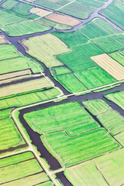 Pekin, Çin - 20 Temmuz 2010: kanallı tipik bir Hollanda kırsal manzarası