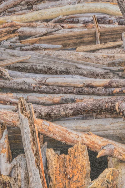 Olieverf Van Drijfhout Dat Aangespoeld Het Strand — Stockfoto