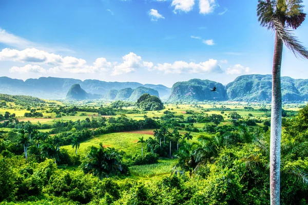 Vinales Cuba July 2018 View Valley Viales Tropical Almost Rain — Stock Photo, Image