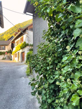 Menthon Aziz Bernard, Fransa - 07 Eylül 2021: Ortaçağ Fransız kırsal köyünde ya da kasabasında duvarında sarmaşık büyüyen evler