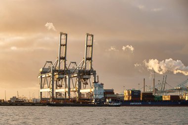 Rotterdam, Hollanda - 22 Kasım 2021: Güverte gemisindeki konteynırları boşaltmak için devasa yarıdan ve tamamen otomatik vinçlerden oluşan hatlar