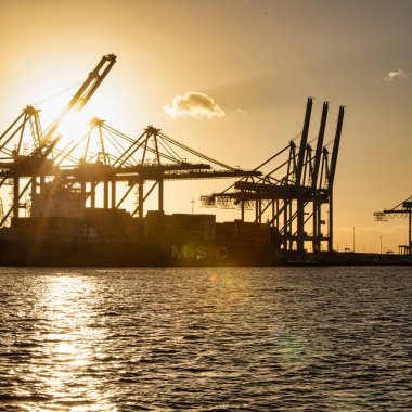 Rotterdam, Hollanda - 22 Kasım 2021: Güverte gemisindeki konteynırları boşaltmak için devasa yarıdan ve tamamen otomatik vinçlerden oluşan hatlar