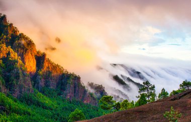La Palma, İspanya - 12 Aralık 2013: Volkanik ada genel olarak yeşil bir hisse sahiptir ve doğanın büyük bir kısmına sahiptir. Sis dağların etrafında sürükleniyor.