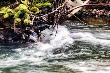 Garberville, ABD - 15 Şubat 2020: Sekoya ormanlarında şelaleli hızlı ve berrak suyu olan küçük bir dere veya nehir