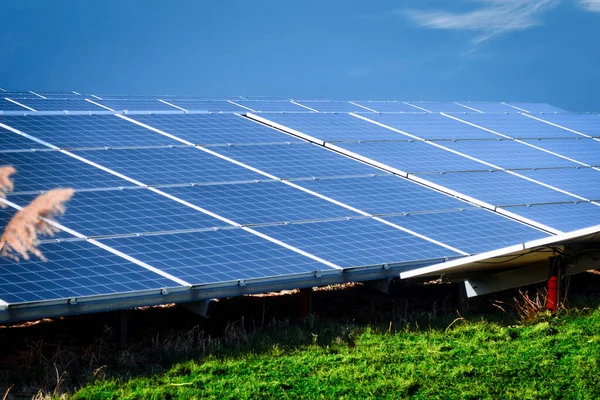 太阳能电池板放置在室外 收集可持续可再生能源 — 图库照片