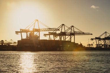 Rotterdam, Hollanda - 22 Kasım 2021: Limandaki gemilerin konteynırlarını boşaltmak için devasa yarıdan ve tamamen otomatik vinçlerden oluşan hatlar